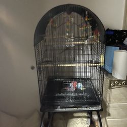Birds Cages