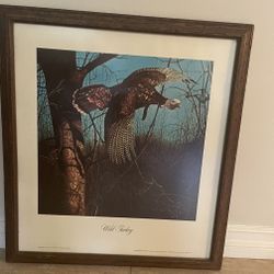 Ken Davies Wild turkey Framed Print