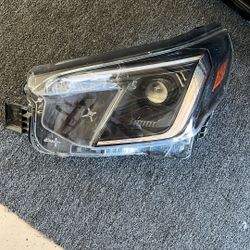 Subaru Forester Wilderness Headlight