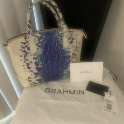 Brahmin Purse