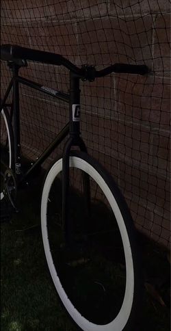 Golden cycle 55cm