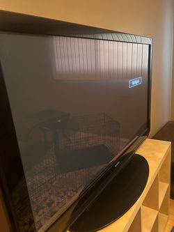 50” Sanyo Flat Screen TV – Works Great – $50 OBO