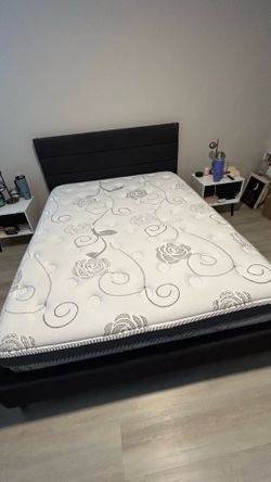 Free Queen Mattress (12 inch deep) - READ DESCRIPTION