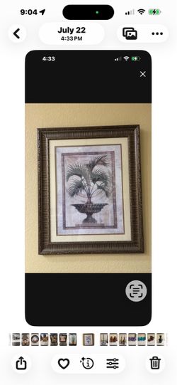 Palm tree picture frame