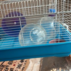 Dwarf Hamsters Cage 