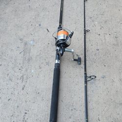 Pfleuger Reel/New Lines/New Black Beauty Rod