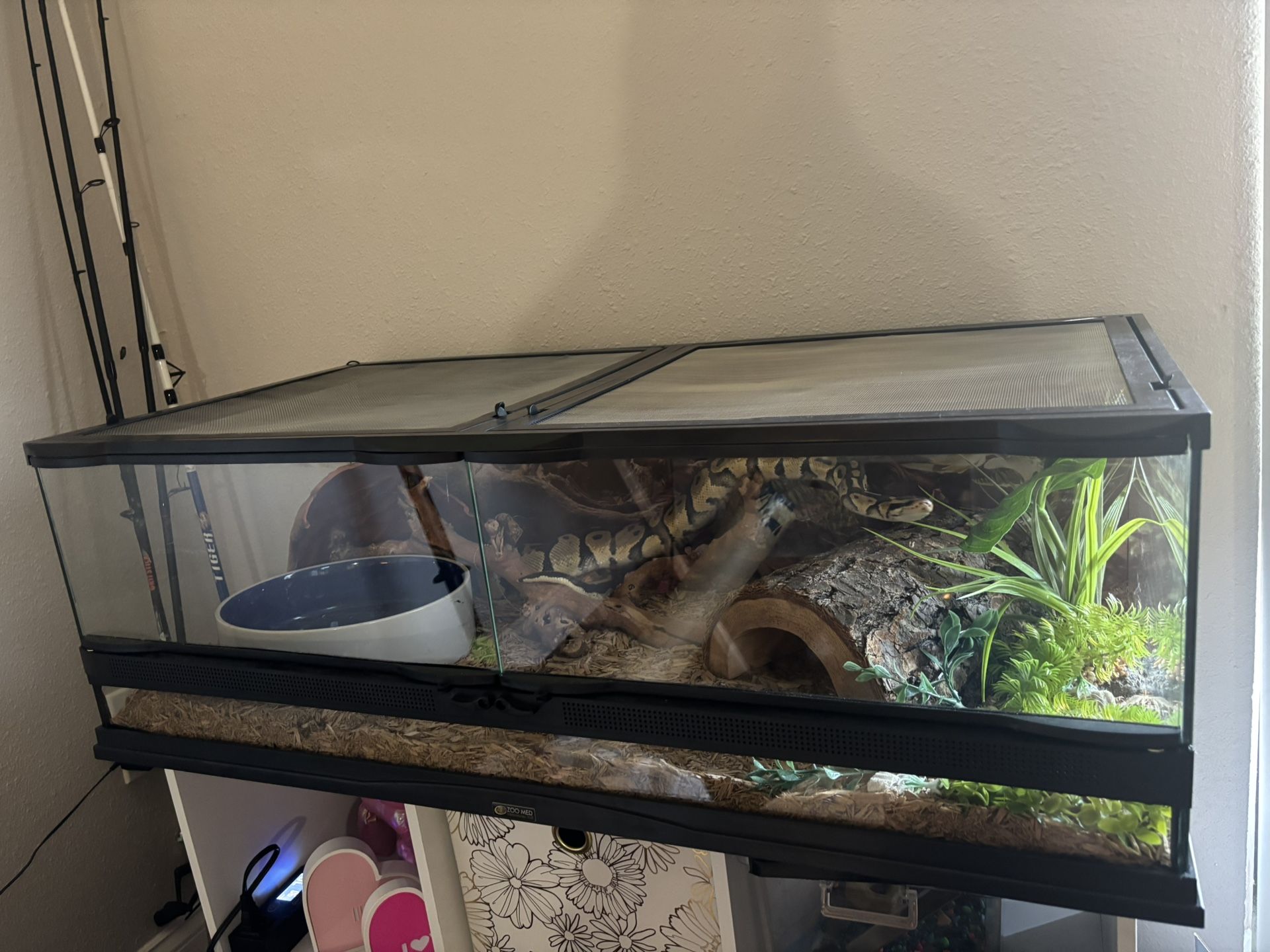 3 Ft Snake Cage With Accessories