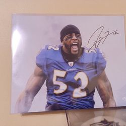 Ray Lewis Hof Baltimore Ravens Signed/Autographed 16x20 Photo