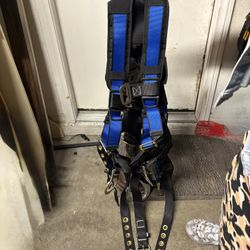 Body Harness 