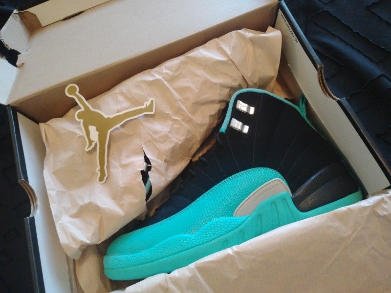 Retro Jordan 12s 