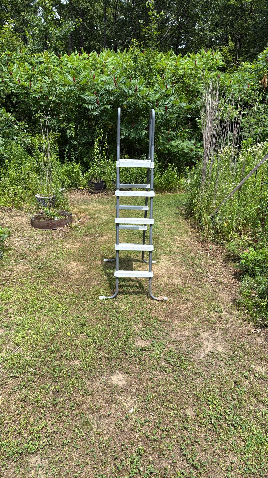 Pool Ladder