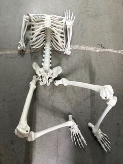 Halloween 60” Partial Skeleton Bones