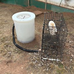 Bait Tank, Lobster Trap