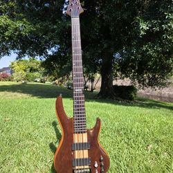 ESP LTD B-5E