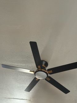 Cieling fan