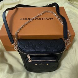 Louis Vuitton Bag