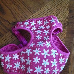 Brand New Ex Small Harness In Weeki Wachee Spring Hill