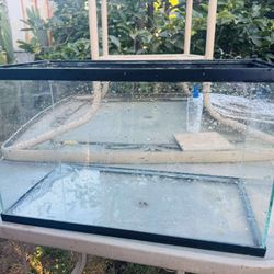 10 Gallon Fish Tank 