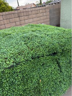 Fake grass