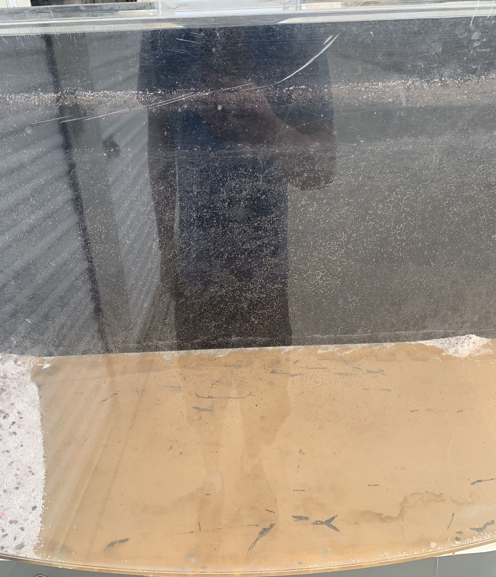 Bow Front Acrylic Aquarium