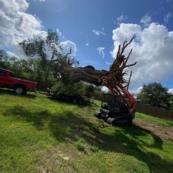 land is cleared and trees are removed from the root and work is also done Matching Land and hills of land