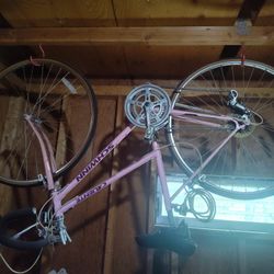 Schwinn Caliente Bike