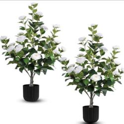 Hananona 2 Pcs Artificial Camellia Trees Faux Camellia Plant in Pot 