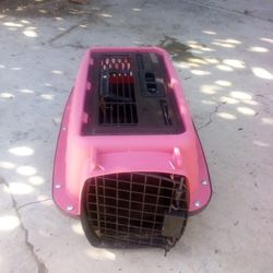 Cat Or Small Dog Crate