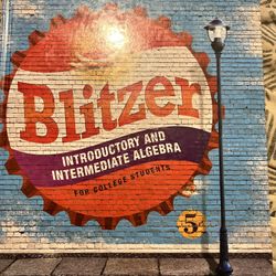 Blitzer Introductory and Intermediate algebra