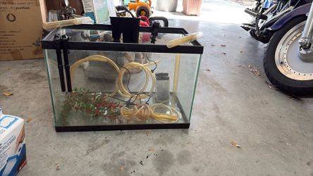 10 Gallon Aquarium