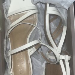 Brand New Wedding Shoes And Veil Set