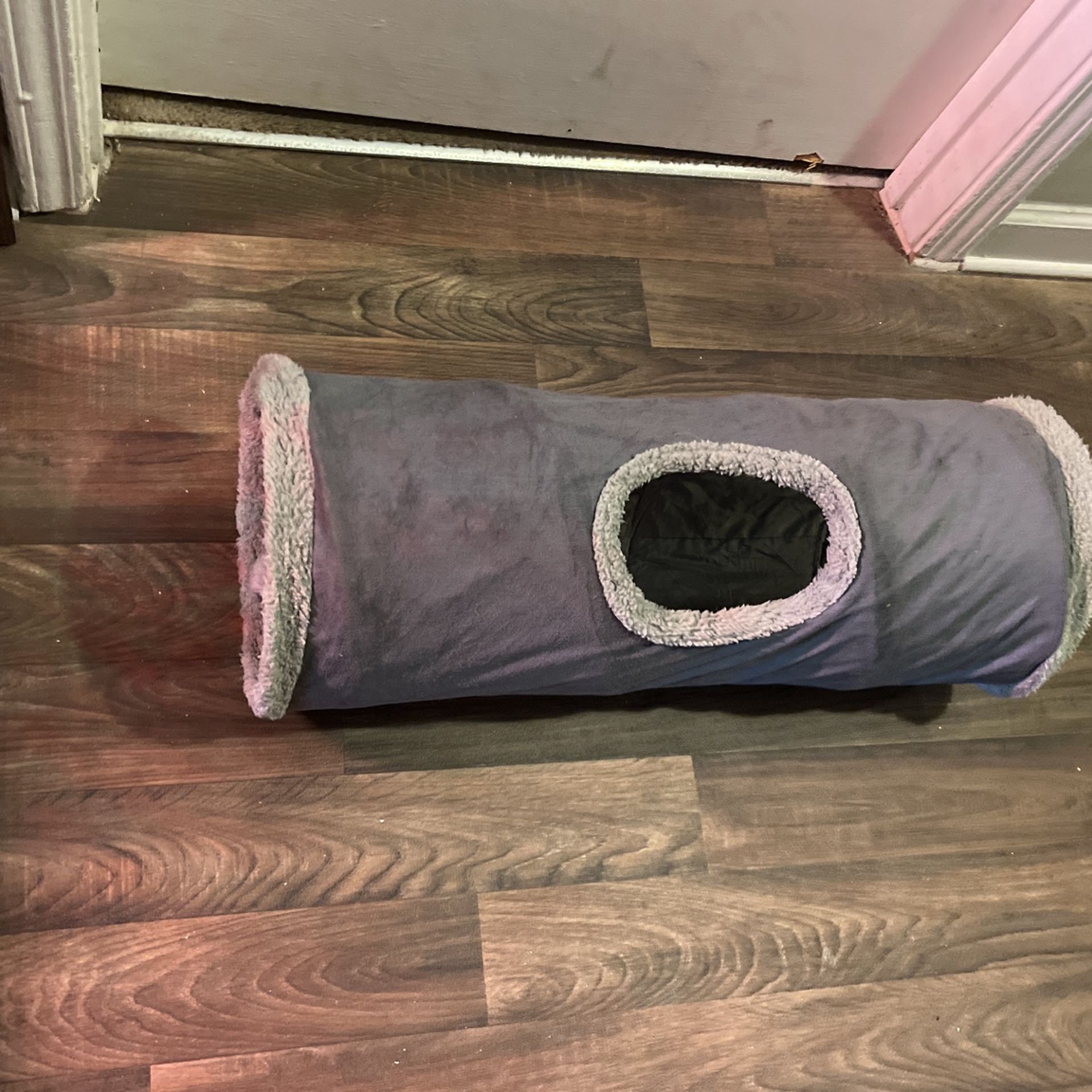 Cat Tunnel