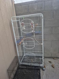 Bird cage