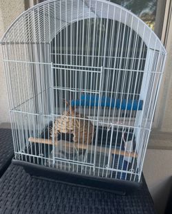 Birdcage