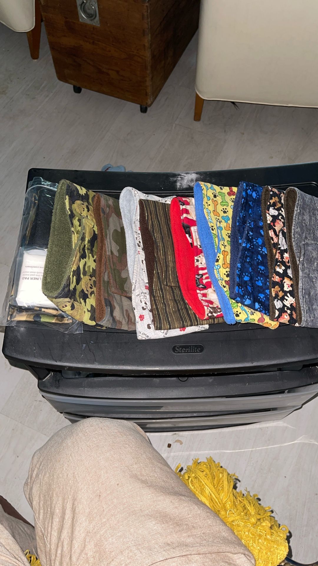 FREE Dog Belly Bands (16-18” L) + Reusable Liners