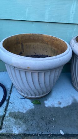 Pot