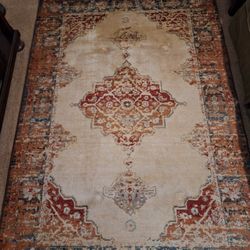 Slightly Used 5x7 Rug
