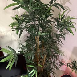 Fake Bamboo