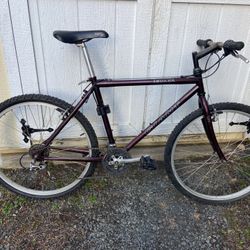 🚲 ICONIC 90s RIG: Giant Iguana MTB - Bulletproof & Ready! 🚲