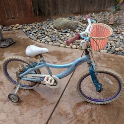 Schwinn Girls Bicycle