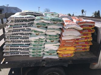 Sod And Lawn Food