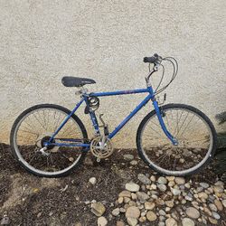 Asahi Adult Bike Cromoly 4130