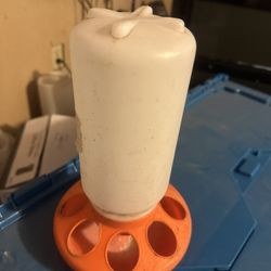 Chick Feeder