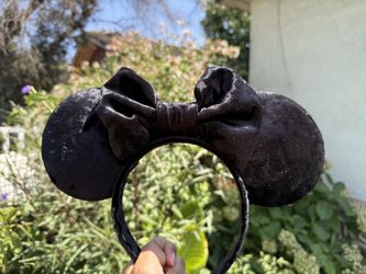 Black Velvet Minnie Ears. 