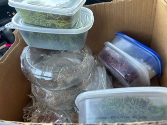 Terrarium Supplies