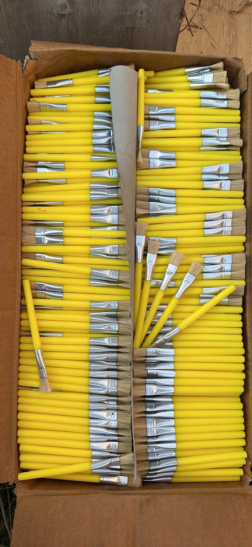 Paint brushes