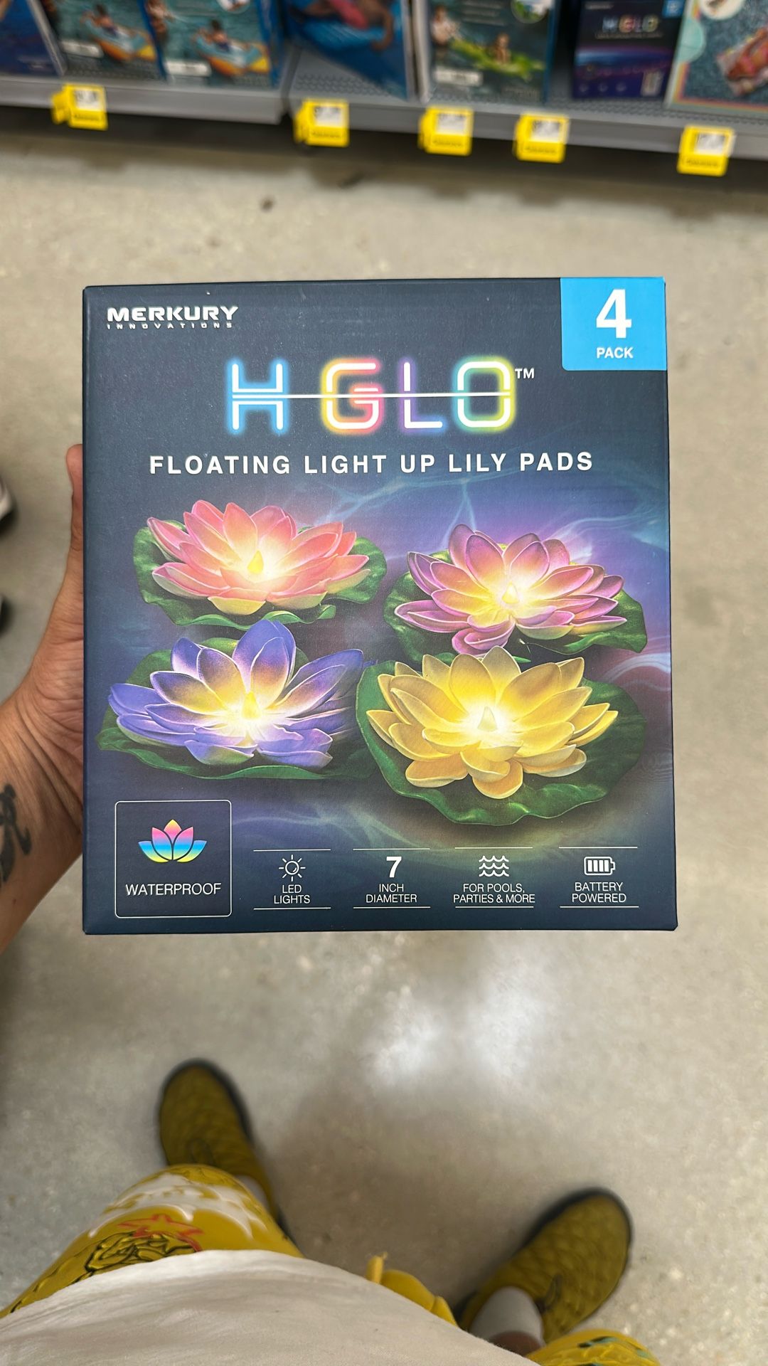 Pool Lily Pads