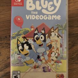 Bluey The Videogame 