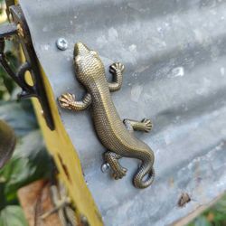 Highly Detailed Lizard Magnet - Great for Kids