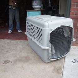 Large Dog Kennel 